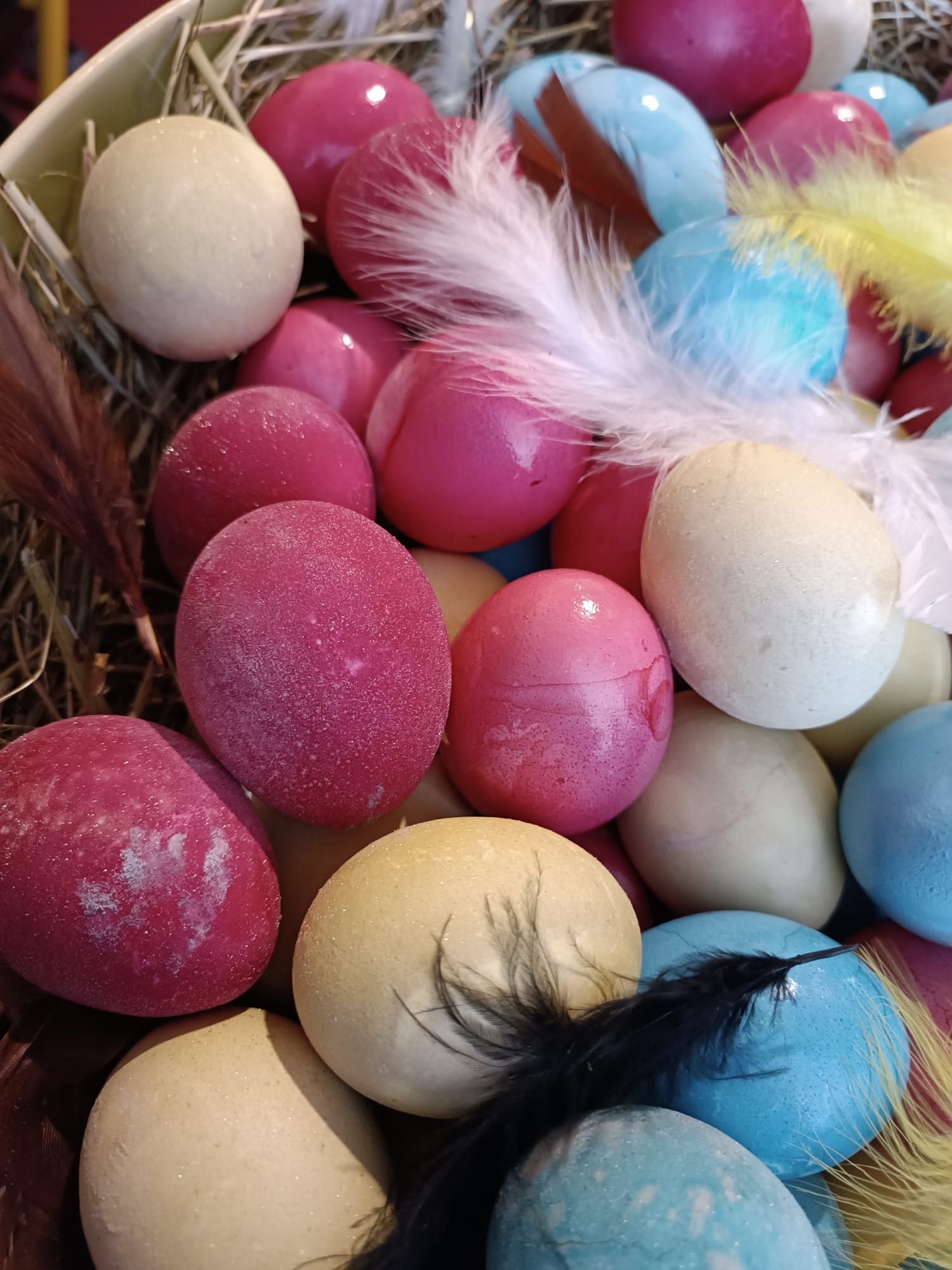 Frohe Ostern - PGS